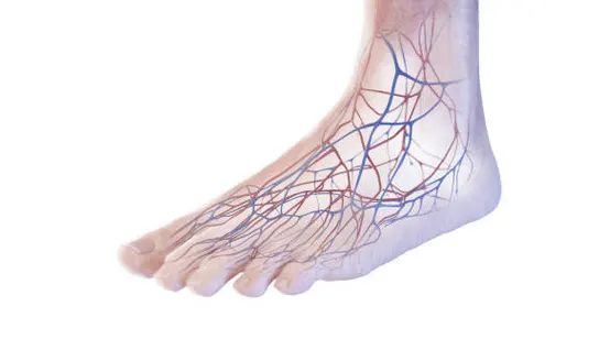 Peripheral Neuropathy Acupuncture